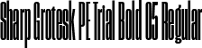 Sharp Grotesk PE Trial Bold 05 Regular font | SharpGroteskPETrialBold-05.ttf