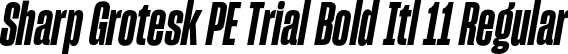 Sharp Grotesk PE Trial Bold Itl 11 Regular font | SharpGroteskPETrialBoldItl-11.otf