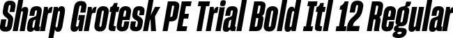 Sharp Grotesk PE Trial Bold Itl 12 Regular font | SharpGroteskPETrialBoldItl-12.otf