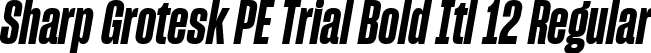 Sharp Grotesk PE Trial Bold Itl 12 Regular font | SharpGroteskPETrialBoldItl-12.ttf