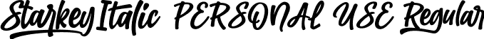 Starkey Italic PERSONAL USE Regular font | StarkeyItalic_PERSONAL_USE.ttf