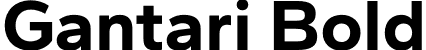 Gantari Bold font | Gantari-Bold.otf