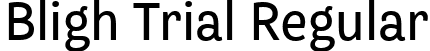 Bligh Trial Regular font | bligh-trial-rg.ttf