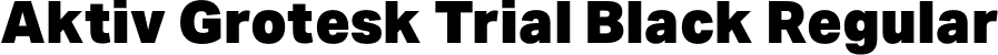 Aktiv Grotesk Trial Black Regular font | AktivGrotesk_Trial_Blk.ttf