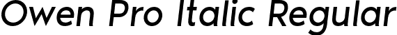 Owen Pro Italic Regular font | OwenPro-Italic.otf