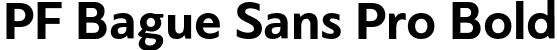 PF Bague Sans Pro Bold font | PFBagueSansPro-Bold-subset.otf