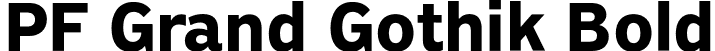 PF Grand Gothik Bold font | PFGrandGothik-Bold-subset.otf