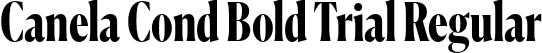 Canela Cond Bold Trial Regular font | CanelaCondensed-Bold-Trial.otf