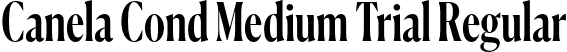 Canela Cond Medium Trial Regular font | CanelaCondensed-Medium-Trial.otf