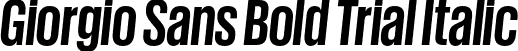 Giorgio Sans Bold Trial Italic font | GiorgioSans-BoldItalic-Trial.otf