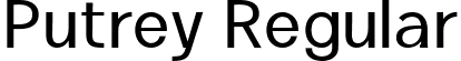 Putrey Regular font | PutreyRegular-RplgA.ttf