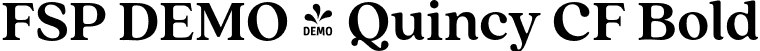 FSP DEMO - Quincy CF Bold font | Fontspring-DEMO-quincycf-bold.otf