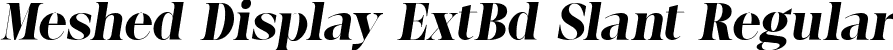 Meshed Display ExtBd Slant Regular font | MeshedDisplay-ExtBdSlant.ttf