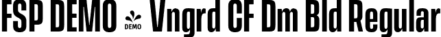 FSP DEMO - Vngrd CF Dm Bld Regular font | Fontspring-DEMO-vanguardcf-demibold.otf