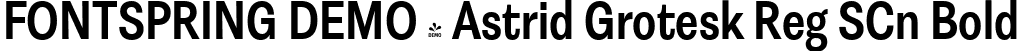 FONTSPRING DEMO - Astrid Grotesk Reg SCn Bold font | Fontspring-DEMO-astridgrotesk-bdscn.ttf