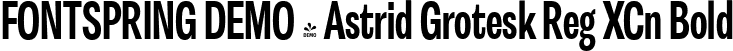FONTSPRING DEMO - Astrid Grotesk Reg XCn Bold font | Fontspring-DEMO-astridgrotesk-bdxcn.ttf
