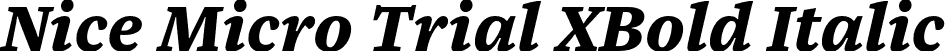 Nice Micro Trial XBold Italic font | NiceMicroTrial-XBoldItalic.otf