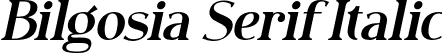 Bilgosia Serif Italic font | Bilgosia-SerifItalic.otf