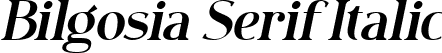 Bilgosia Serif Italic font | Bilgosia-SerifItalic.ttf