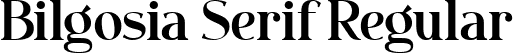 Bilgosia Serif Regular font | Bilgosia-Serif.ttf