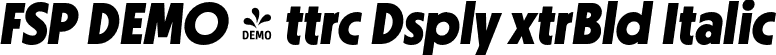 FSP DEMO - ttrc Dsply xtrBld Italic font | Fontspring-DEMO-ottercodisplay-extrabolditalic.otf