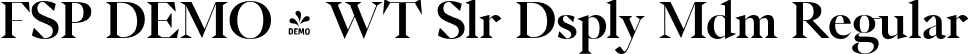 FSP DEMO - WT Slr Dsply Mdm Regular font | Fontspring-DEMO-wtsolaire-displaymedium.otf