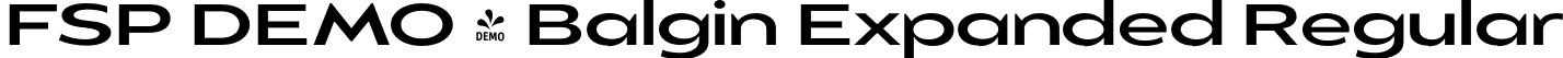 FSP DEMO - Balgin Expanded Regular font | Fontspring-DEMO-balgin-regularexpanded.otf