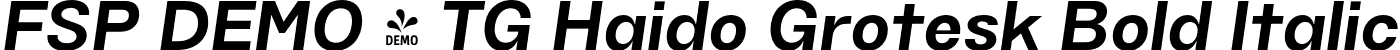 FSP DEMO - TG Haido Grotesk Bold Italic font | Fontspring-DEMO-tghaidogrotesk-bolditalic.otf
