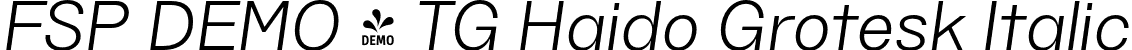 FSP DEMO - TG Haido Grotesk Italic font | Fontspring-DEMO-tghaidogrotesk-italic.otf
