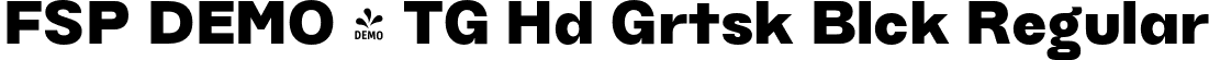 FSP DEMO - TG Hd Grtsk Blck Regular font | Fontspring-DEMO-tghaidogrotesk-black.otf