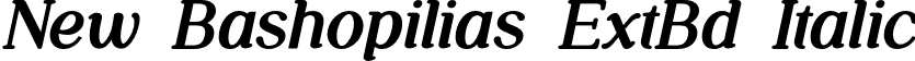 New Bashopilias ExtBd Italic font | NewBashopilias-ExtraBoldItalic.otf