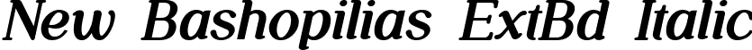 New Bashopilias ExtBd Italic font | NewBashopilias-ExtraBoldItalic.ttf