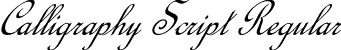 Calligraphy Script Regular font | CalligraphyScript.otf