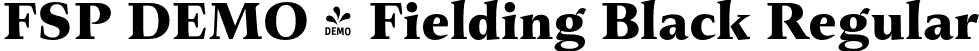 FSP DEMO - Fielding Black Regular font | Fontspring-DEMO-fielding-black.otf