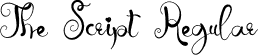 The Script Regular font | The Script.otf