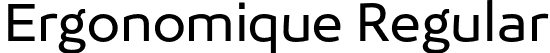 Ergonomique Regular font | ergonomique-regular.otf