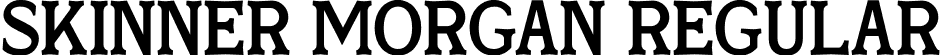 Skinner Morgan Regular font | Skinner-Morgan.otf