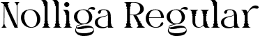 Nolliga Regular font | NolligaRegular-Wyr4A.ttf