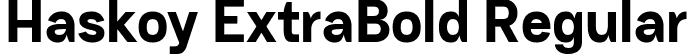 Haskoy ExtraBold Regular font | Haskoy-ExtraBold.ttf