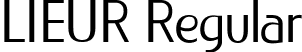 LIEUR Regular font | LIEUR-Regular-PERSONAL USE ONLY.ttf