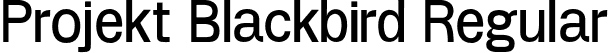 Projekt Blackbird Regular font | projekt-blackbird-v2.otf