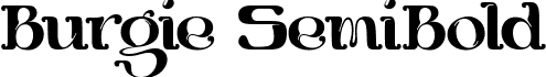 Burgie SemiBold font | BurgieSemibold-rgY59.ttf