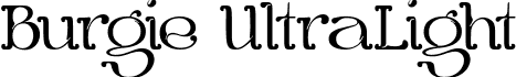 Burgie UltraLight font | BurgieUltralight-2Ordw.ttf