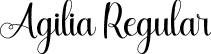 Agilia Regular font | Agilia.otf