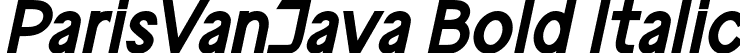 ParisVanJava Bold Italic font | ParisvanjavaBoldItalic-qZMY2.ttf