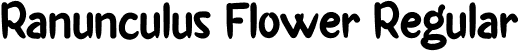 Ranunculus Flower Regular font | Ranunculus Flower.otf