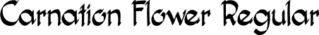 Carnation Flower Regular font | Carnation Flower.otf