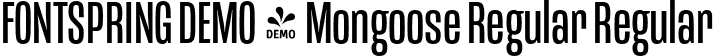 FONTSPRING DEMO - Mongoose Regular Regular font | Fontspring-DEMO-mongoose-regular.otf