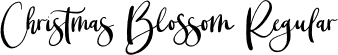 Christmas Blossom Regular font | Christmas Blossom.otf