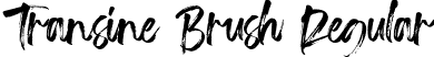 Transine Brush Regular font | TransineBrushRegular-JRn0n.ttf